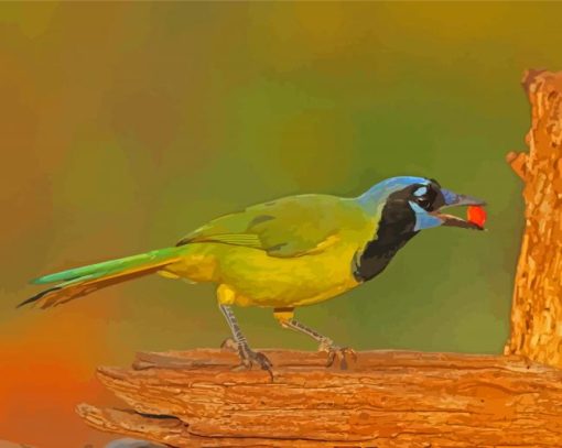 Green Jay Bird Diamond Paintings