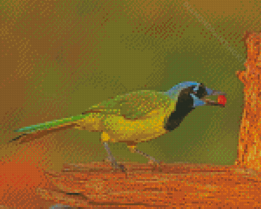 Green Jay Bird Diamond Paintings