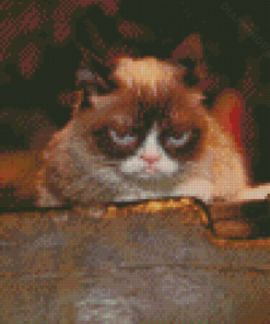 Grumpy Cat Diamond Paintings