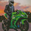 Kawasaki Ninja Motorcycle Driver Diamond Paintings