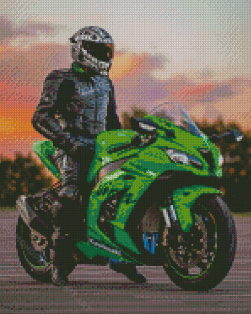 Kawasaki Ninja Motorcycle Driver Diamond Paintings