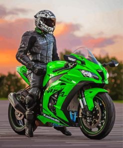 Kawasaki Ninja Motorcycle Driver Diamond Paintings