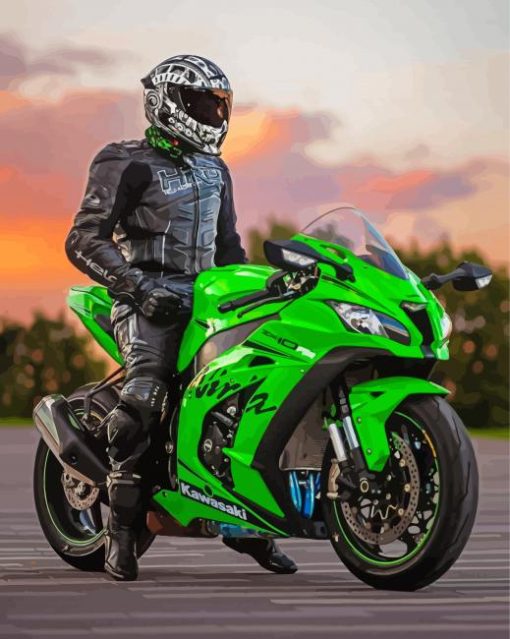 Kawasaki Ninja Motorcycle Driver Diamond Paintings