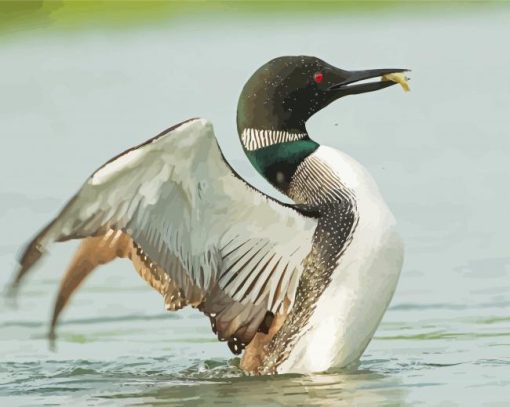 Loon Fishing On Lake Diamond Paintings