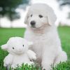 Maremma Sheepdog Puppy With A Stuffie Diamond Paintings