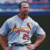 Mark Mcgwire Diamond Paintings