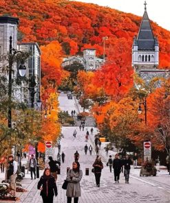 McGill University Fall Colors Diamond Paintings