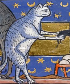 Medieval Ugly Cat Diamond Paintings