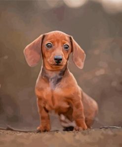 Miniture Dashund Dog Diamond Paintings