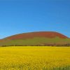 Mount Elephant Australia Diamond Paintings