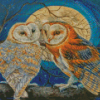 Owls Moonlight Diamond Paintings