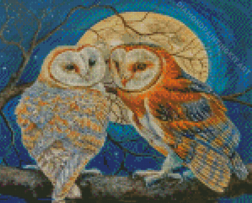 Owls Moonlight Diamond Paintings