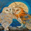 Owls Moonlight Diamond Paintings