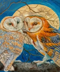 Owls Moonlight Diamond Paintings