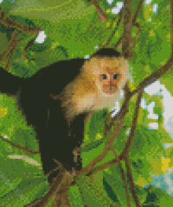 Panamanian White Faced Capuchin Diamond Paintings