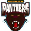 Penrith Panthers Logo Diamond Paintings