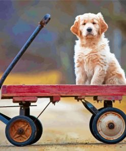 Puppy In Wagon Diamond Paintings