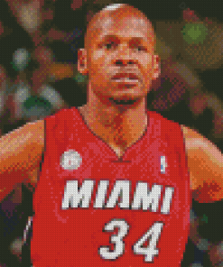 Ray Allen Baksetball Player Diamond Paintings