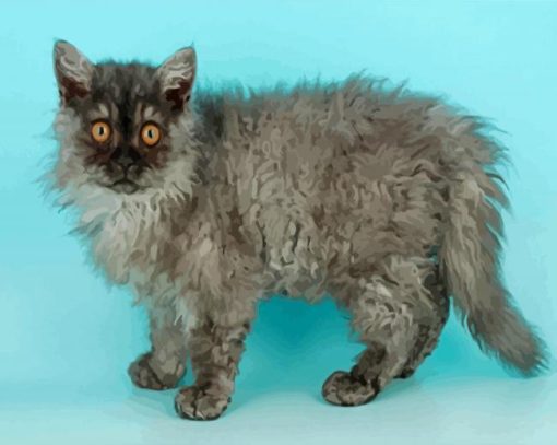 Selkirk Rex Cat Diamond Paintings