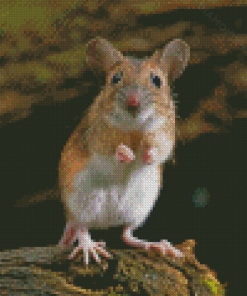 Small Field Mouse Diamond Paintings