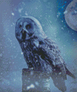 Snow Owl Moon Diamond Paintings