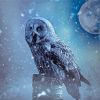 Snow Owl Moon Diamond Paintings