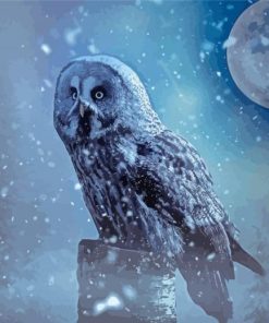 Snow Owl Moon Diamond Paintings