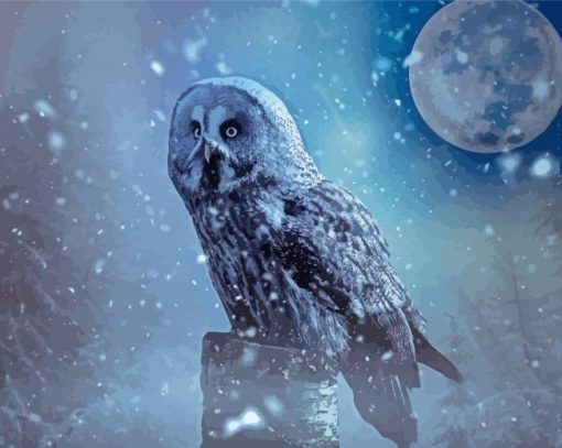 Snow Owl Moon Diamond Paintings