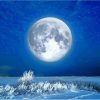 Snow Moon Diamond Paintings