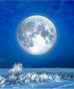 Snow Moon Diamond Paintings