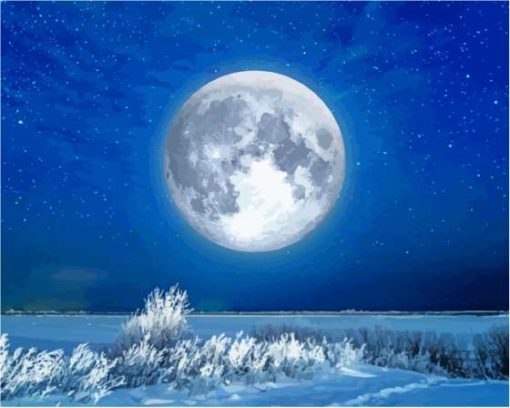 Snow Moon Diamond Paintings