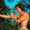 Strong Patrick Swayze Diamond Paintings