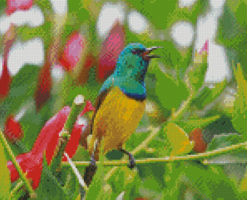 Sunbird Bird Diamond Paintings