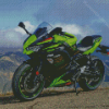 The Kawasaki Ninja Motorcycle Diamond Paintings