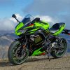 The Kawasaki Ninja Motorcycle Diamond Paintings