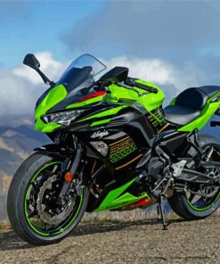 The Kawasaki Ninja Motorcycle Diamond Paintings