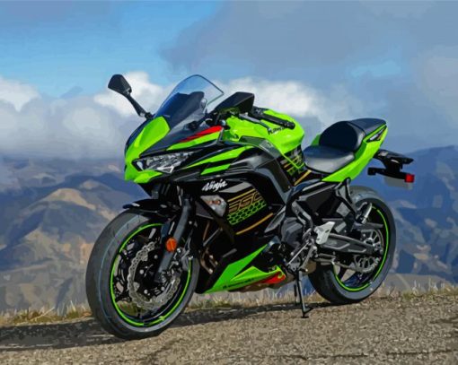 The Kawasaki Ninja Motorcycle Diamond Paintings