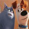 The Secret Life Of Pets Dog And Cat Characters Diamond Paintings