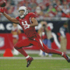 The Wide Receiver Larry Fitzgerald Diamond Paintings