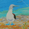 The Blue Footed Boobie Diamond Paintings