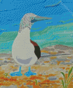 The Blue Footed Boobie Diamond Paintings