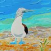 The Blue Footed Boobie Diamond Paintings