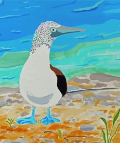 The Blue Footed Boobie Diamond Paintings