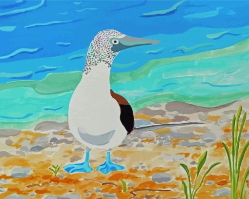 The Blue Footed Boobie Diamond Paintings