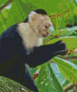 The Capuchin Monkey Diamond Paintings