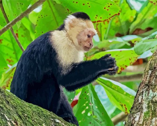 The Capuchin Monkey Diamond Paintings