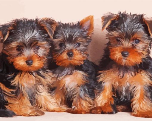 Three Yorkshire Terrier Puppies Diamond Paintings