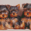 Three Yorkshire Terrier Puppies Diamond Paintings