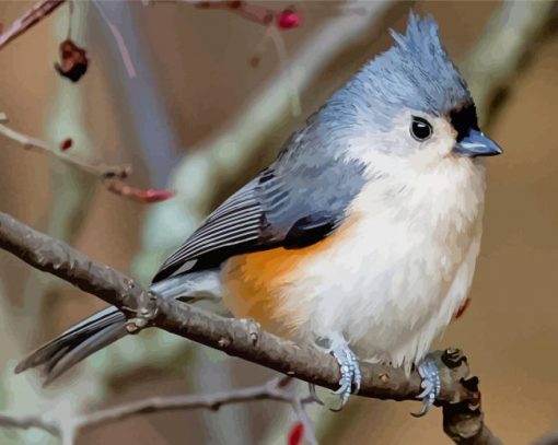 Tufted Titmouse Diamond Paintings