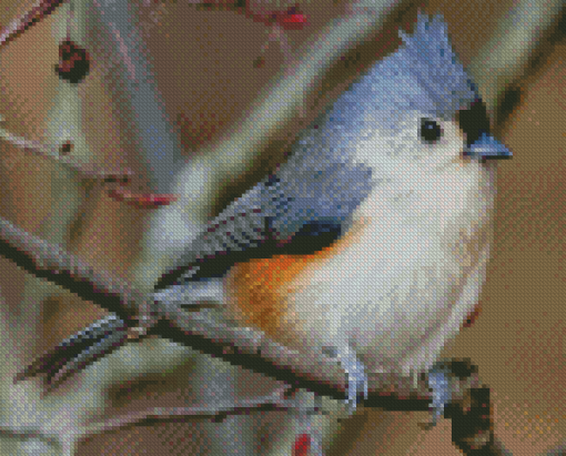 Tufted Titmouse Diamond Paintings